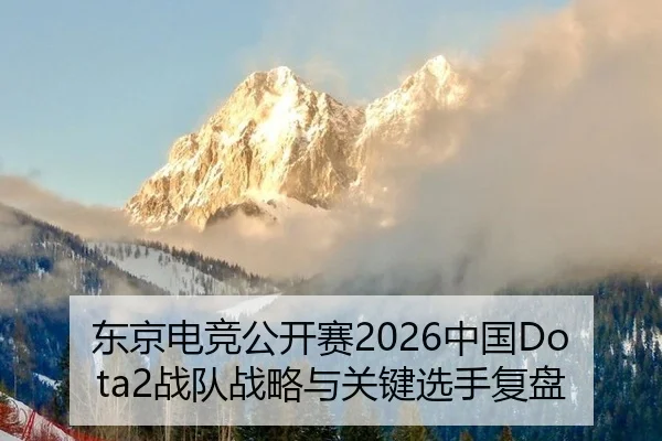 东京电竞公开赛2026中国Dota2战队战略与关键选手复盘