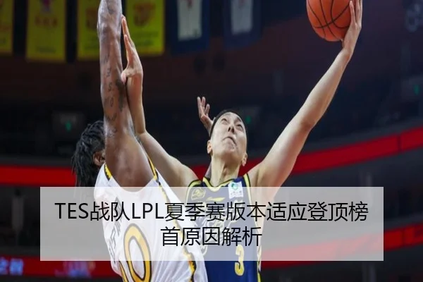 TES战队LPL夏季赛版本适应登顶榜首原因解析